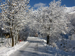 ski sauze vacances a la neige location sauze studio montagne studio a la neige www.ski-sauze.fr www.vacances-a-la-neige.fr www.location-sauze.fr www.studio-montagne.fr www.studio-a-la-neige.fr