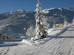 ski sauze vacances a la neige location sauze studio montagne studio a la neige www.ski-sauze.fr www.vacances-a-la-neige.fr www.location-sauze.fr www.studio-montagne.fr www.studio-a-la-neige.fr