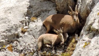 Vos vacances de printemps et d'été dans Vallée de L’Ubaye