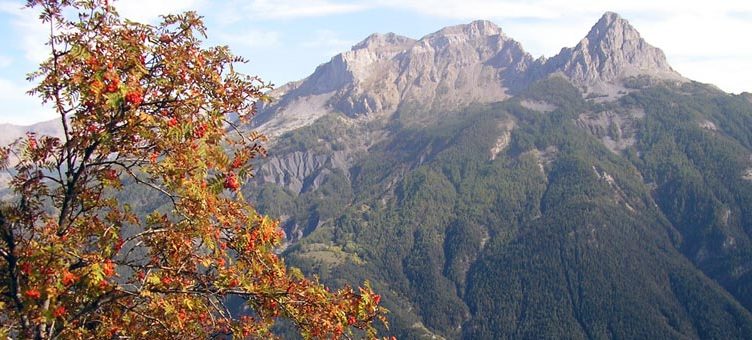 Vos vacances de printemps et d'été dans Vallée de L’Ubaye