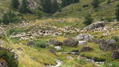 Vos vacances de printemps et d'été dans Vallée de L’Ubaye