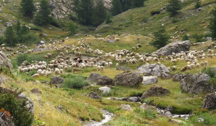 Vos vacances de printemps et d'été dans Vallée de L’Ubaye